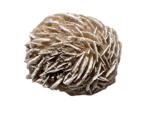 Desert Rose